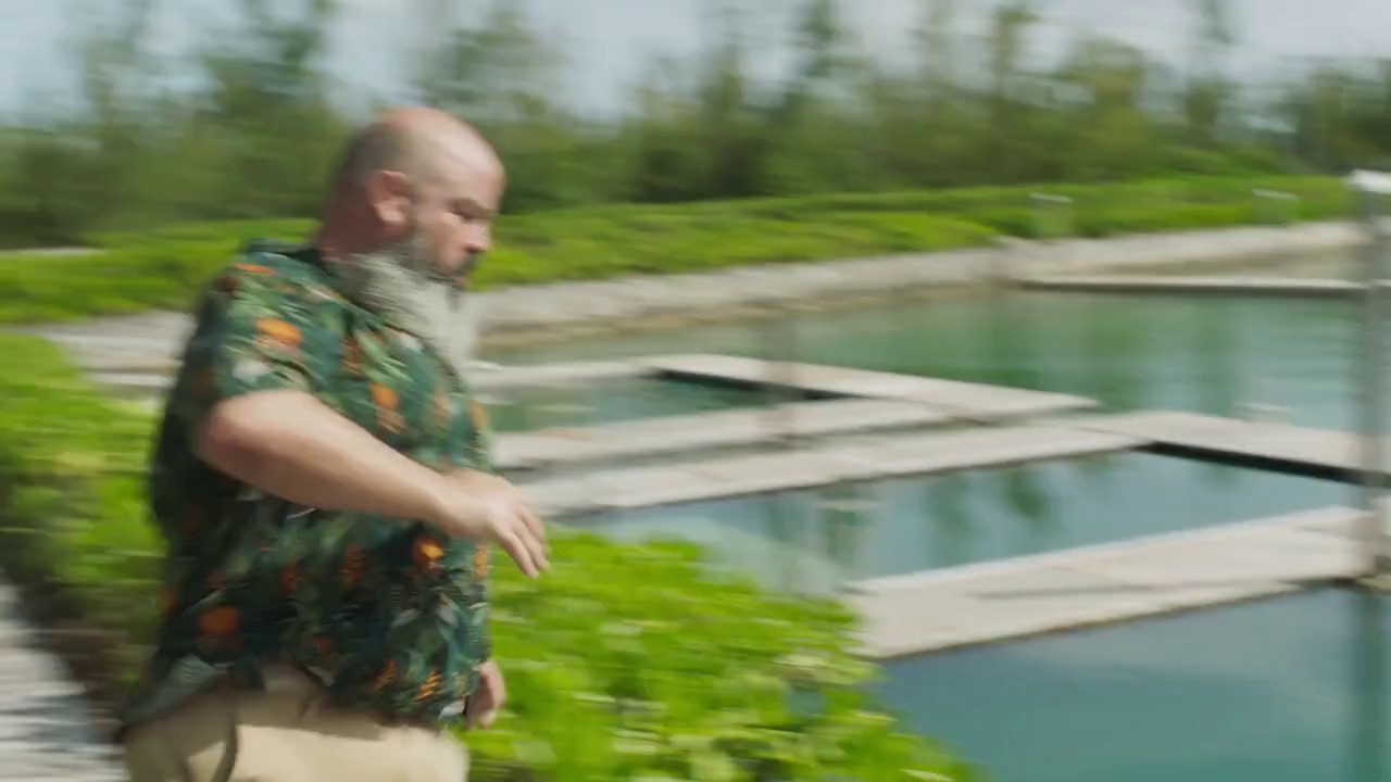 Dolphin Island (2021) WEBRip Hin + Eng + Tam + Tel 720p x264 AVC AAC 2.0.mkv.0001